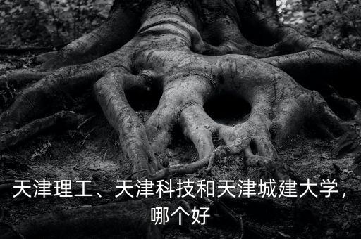 天津理工、天津科技和天津城建大學(xué)，哪個(gè)好