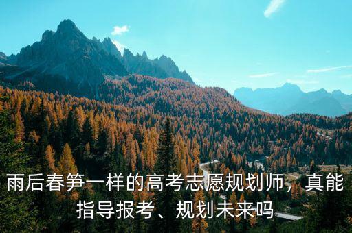 雨后春筍一樣的高考志愿規(guī)劃師，真能指導(dǎo)報(bào)考、規(guī)劃未來嗎
