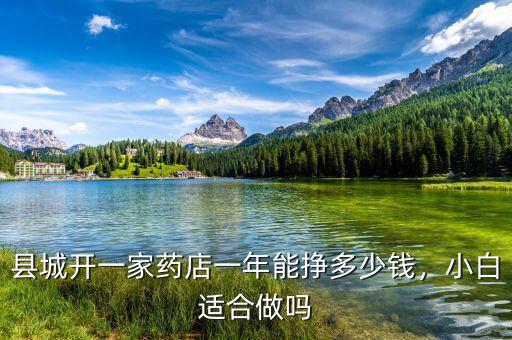 縣城開一家藥店一年能掙多少錢，小白適合做嗎