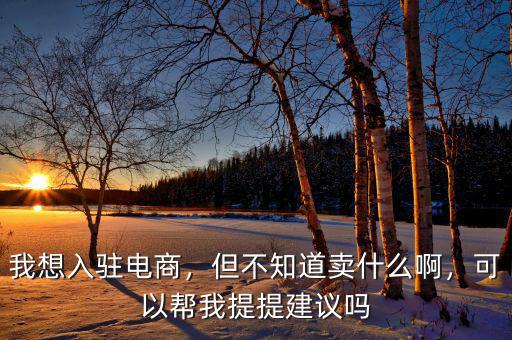 我想入駐電商，但不知道賣什么啊，可以幫我提提建議嗎