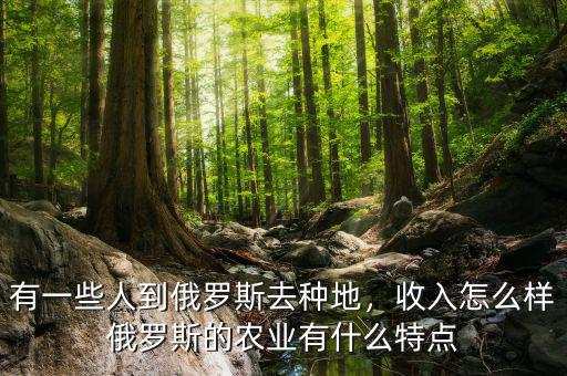怎么賺俄羅斯的錢(qián),俄羅斯的農(nóng)業(yè)有什么特點(diǎn)