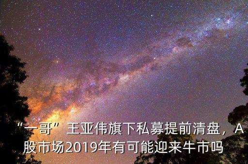 “一哥”王亞偉旗下私募提前清盤，A股市場2019年有可能迎來牛市嗎