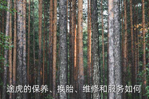 途虎的保養(yǎng)、換胎、維修和服務(wù)如何