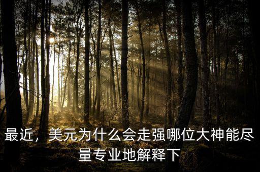 最近，美元為什么會(huì)走強(qiáng)哪位大神能盡量專業(yè)地解釋下