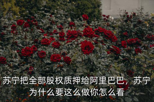 蘇寧把全部股權(quán)質(zhì)押給阿里巴巴，蘇寧為什么要這么做你怎么看