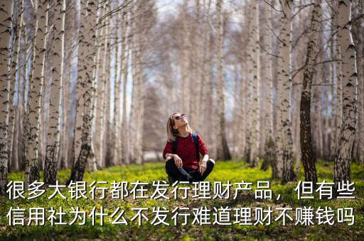很多大銀行都在發(fā)行理財產(chǎn)品，但有些信用社為什么不發(fā)行難道理財不賺錢嗎
