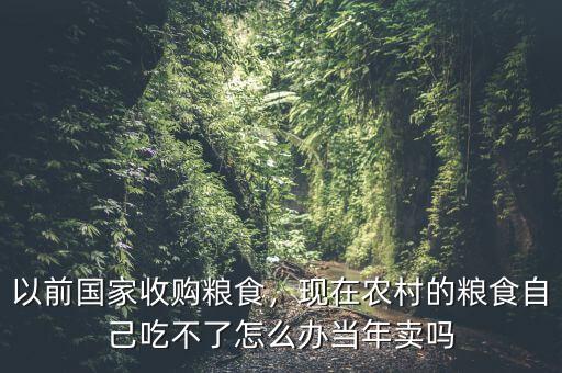 以前國(guó)家收購(gòu)糧食，現(xiàn)在農(nóng)村的糧食自己吃不了怎么辦當(dāng)年賣嗎