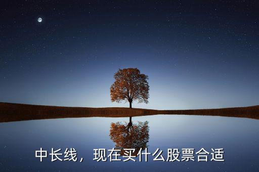 中長線，現(xiàn)在買什么股票合適