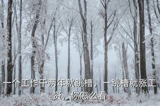 一個(gè)工作干兩年就跳槽，一跳槽就漲工資，你怎么看