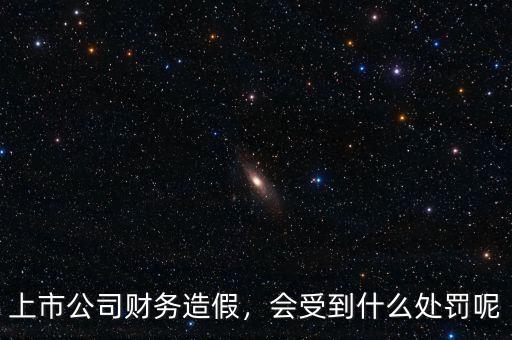 上市公司財務造假，會受到什么處罰呢