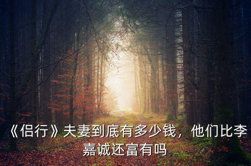 《侶行》夫妻到底有多少錢，他們比李嘉誠還富有嗎