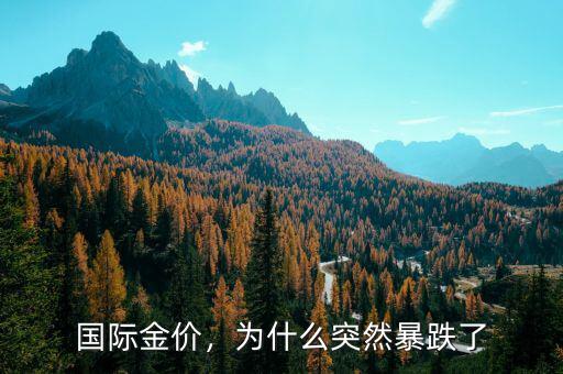 國(guó)際金價(jià)，為什么突然暴跌了