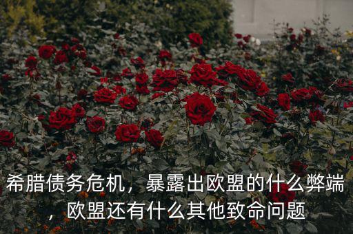 希臘債務(wù)危機(jī)，暴露出歐盟的什么弊端，歐盟還有什么其他致命問(wèn)題