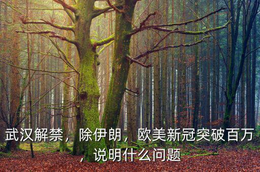 武漢解禁，除伊朗，歐美新冠突破百萬(wàn)，說(shuō)明什么問(wèn)題