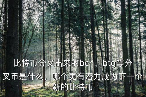 比特幣分叉出來的bch、btg等分叉幣是什么，哪個更有潛力成為下一個新的比特幣