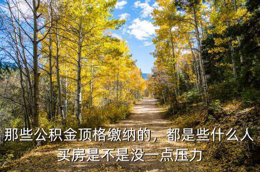 那些公積金頂格繳納的，都是些什么人買房是不是沒一點(diǎn)壓力