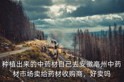 種植出來的中藥材自己去安徽亳州中藥材市場(chǎng)賣給藥材收購商，好賣嗎