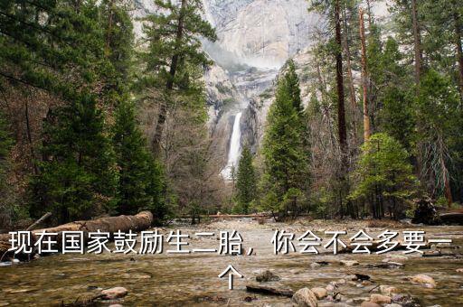 現(xiàn)在國(guó)家鼓勵(lì)生二胎，你會(huì)不會(huì)多要一個(gè)