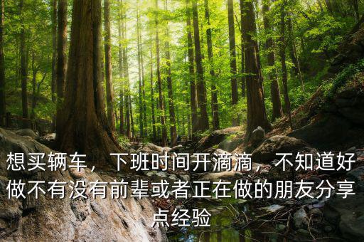 想買輛車，下班時間開滴滴，不知道好做不有沒有前輩或者正在做的朋友分享點經驗