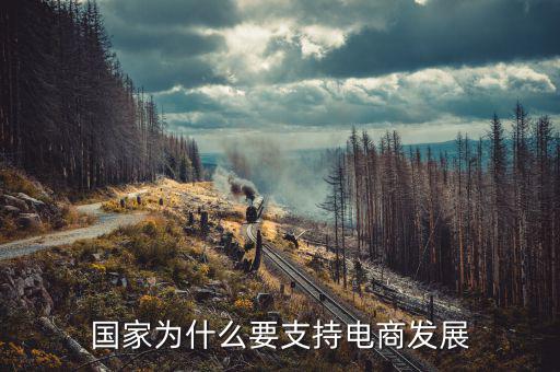 國家為什么不對(duì)電商收稅,為什么那么多發(fā)達(dá)國家