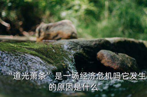 制造業(yè)蕭條是什么原因,道光蕭條是一場經濟危機嗎