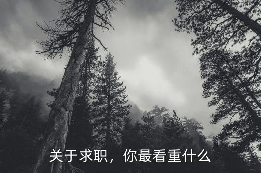 關(guān)于求職，你最看重什么