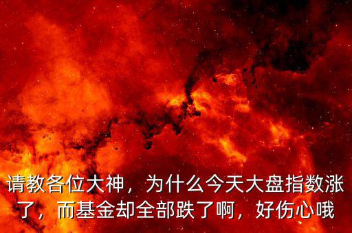請教各位大神，為什么今天大盤指數(shù)漲了，而基金卻全部跌了啊，好傷心哦