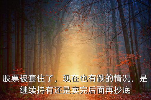 股票被套住了，現(xiàn)在也有跌的情況，是繼續(xù)持有還是賣完后面再抄底