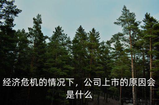 經(jīng)濟危機的情況下，公司上市的原因會是什么