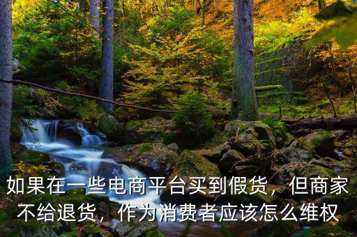 如果在一些電商平臺(tái)買到假貨，但商家不給退貨，作為消費(fèi)者應(yīng)該怎么維權(quán)