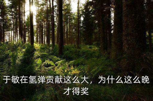 于敏在氫彈貢獻(xiàn)這么大，為什么這么晚才得獎(jiǎng)
