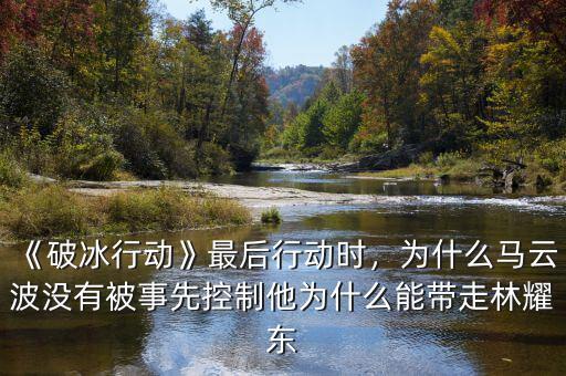 《破冰行動(dòng)》最后行動(dòng)時(shí)，為什么馬云波沒有被事先控制他為什么能帶走林耀東