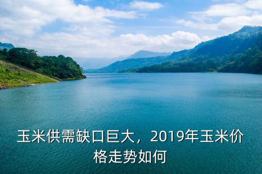 玉米供需缺口巨大，2019年玉米價(jià)格走勢(shì)如何