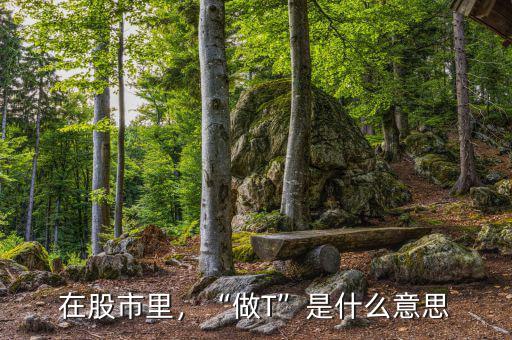 在股市里，“做T”是什么意思