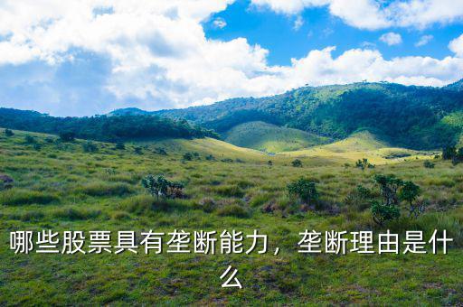 哪些股票具有壟斷能力，壟斷理由是什么