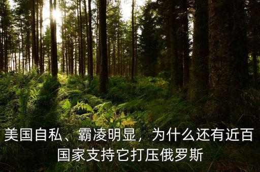 美國自私、霸凌明顯，為什么還有近百國家支持它打壓俄羅斯