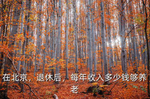 在北京，退休后，每年收入多少錢夠養(yǎng)老