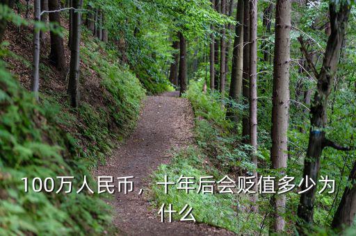 100萬人民幣，十年后會貶值多少為什么