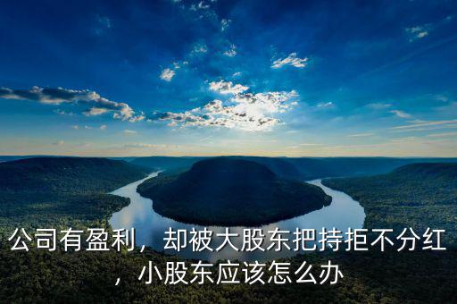 公司有盈利，卻被大股東把持拒不分紅，小股東應該怎么辦