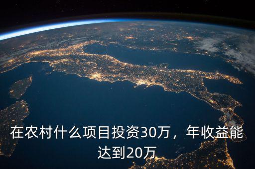 在農村什么項目投資30萬，年收益能達到20萬