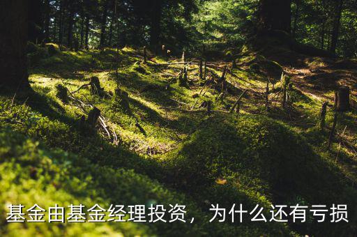 基金由基金經(jīng)理投資，為什么還有虧損