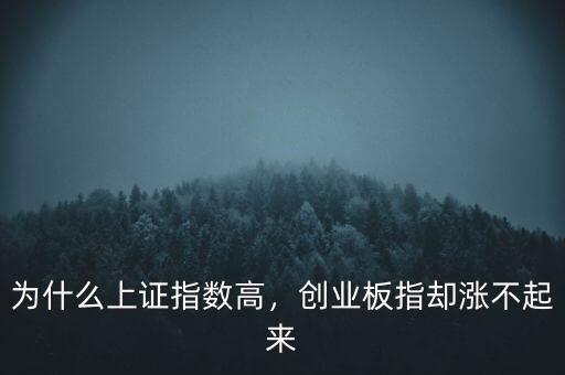 為什么上證指數(shù)高，創(chuàng)業(yè)板指卻漲不起來