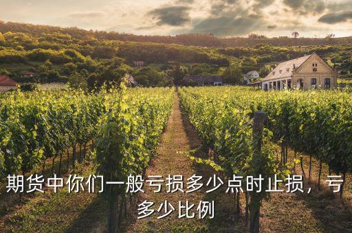 期貨中你們一般虧損多少點時止損，虧多少比例