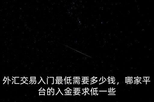 外匯交易入門最低需要多少錢，哪家平臺的入金要求低一些