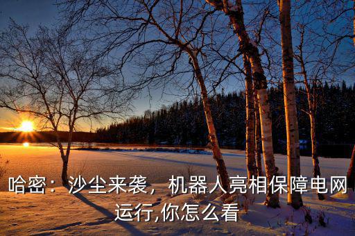 哈密：沙塵來(lái)襲，機(jī)器人亮相保障電網(wǎng)運(yùn)行,你怎么看
