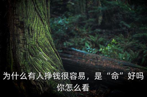 為什么有人掙錢很容易，是“命”好嗎你怎么看