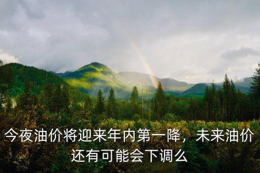 今夜油價將迎來年內(nèi)第一降，未來油價還有可能會下調(diào)么
