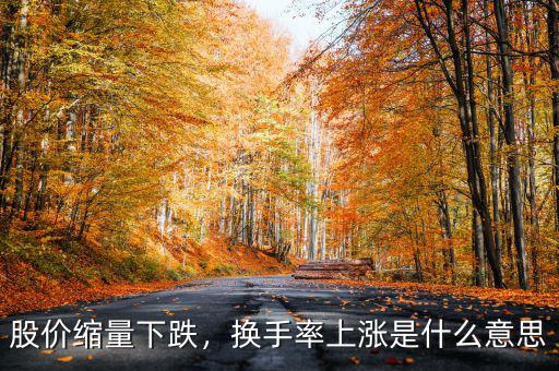 股價縮量下跌，換手率上漲是什么意思