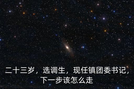 二十三歲，選調(diào)生，現(xiàn)任鎮(zhèn)團(tuán)委書(shū)記，下一步該怎么走