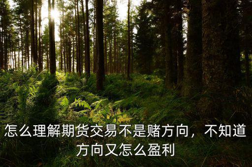 怎么理解期貨交易不是賭方向，不知道方向又怎么盈利